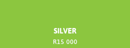 &nbsp;SILVER R15 000